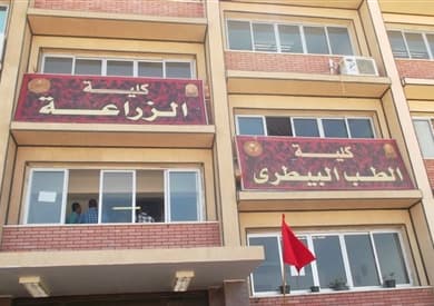 Faculty of Veterinary Medicine, El Oued El Jadid University - 1000-UL